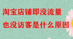 淘寶店鋪即沒(méi)流量也沒(méi)訪(fǎng)客是什么原因