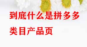 到底什么是拼多多類(lèi)目產(chǎn)品頁(yè)